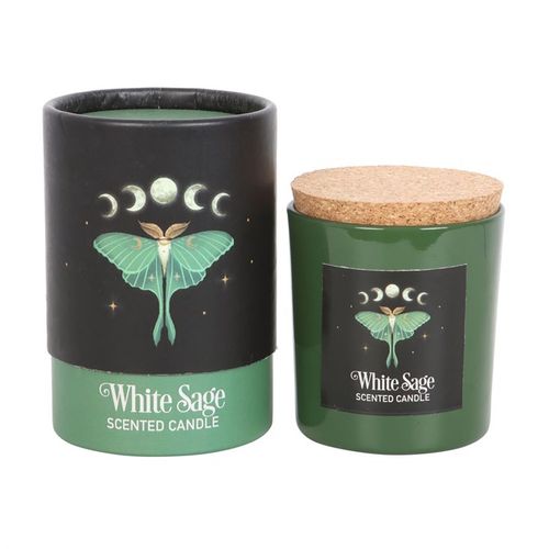 Dark Forest Scented Candles