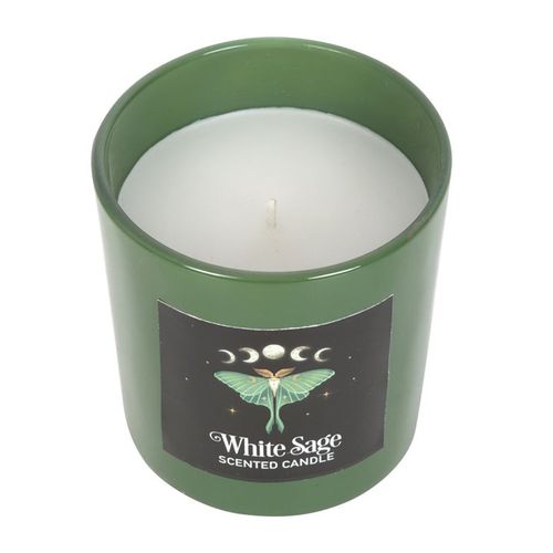 Dark Forest Scented Candles