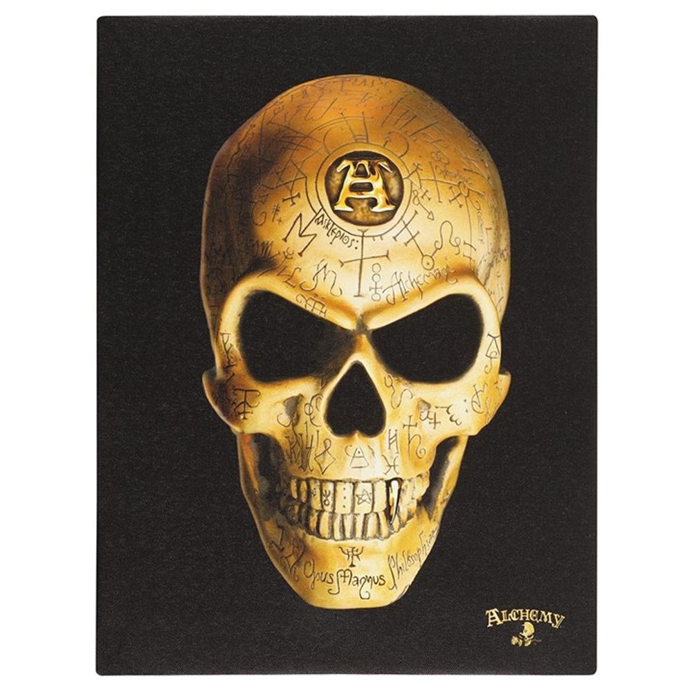 19x25cm Omega Skull Canvas Plaque19x25cm Omega Skull Canvas Plaque by Alchemy