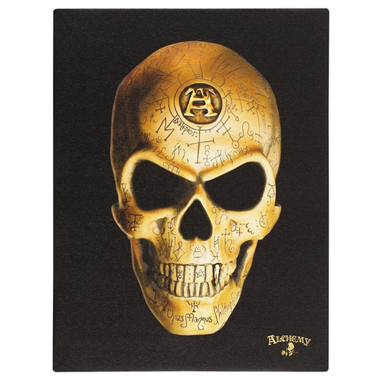 19x25cm Omega Skull Canvas Plaque19x25cm Omega Skull Canvas Plaque by Alchemy