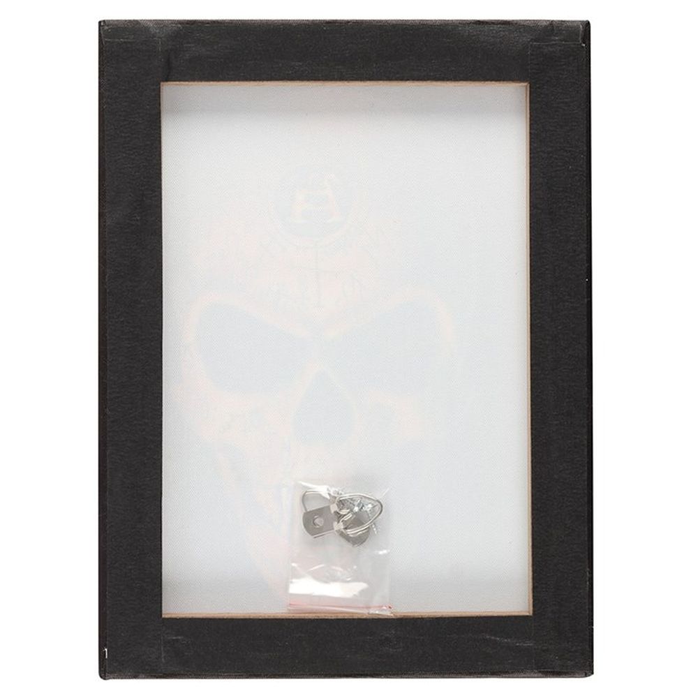 19x25cm Omega Skull Canvas Plaque19x25cm Omega Skull Canvas Plaque by Alchemy